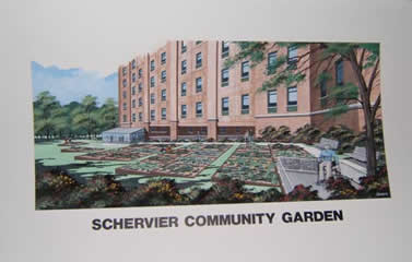 SchervierCommunityGardenrendition2